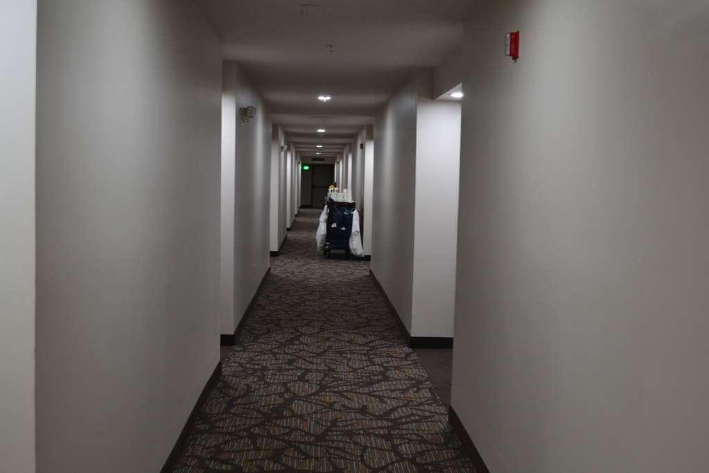 Wingate By Wyndham Bel Air I-95 Exit 77A - Apg Area Edgewood Interior foto